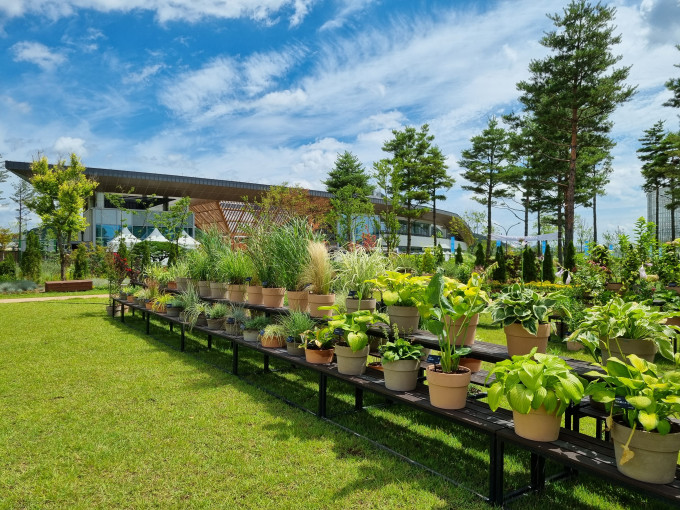 수정됨_1. 국립세종수목원 방문자센터 앞 축제마당에서 오는 7월 31일까지 2022년 정원식물 전시회를 실시한다.jpg